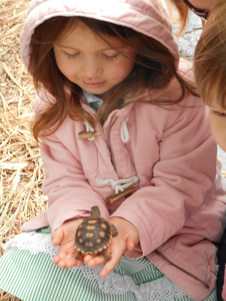 11 girl with baby tortoise